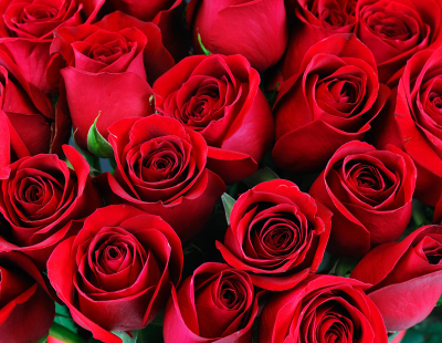 Beställ blommor till begravning Botkyrka Norsborg - Begravningsbyrå Botkyrka Norsborg - Isacsons Begravningsbyrå Botkyrka Norsborg - Begravningar Botkyrka Norsborg Beställ blommor till begravning Botkyrka Norsborg - Begravningsbyrå Botkyrka Norsborg - Isacsons Begravningsbyrå Botkyrka Norsborg - Begravningar Botkyrka Norsborg